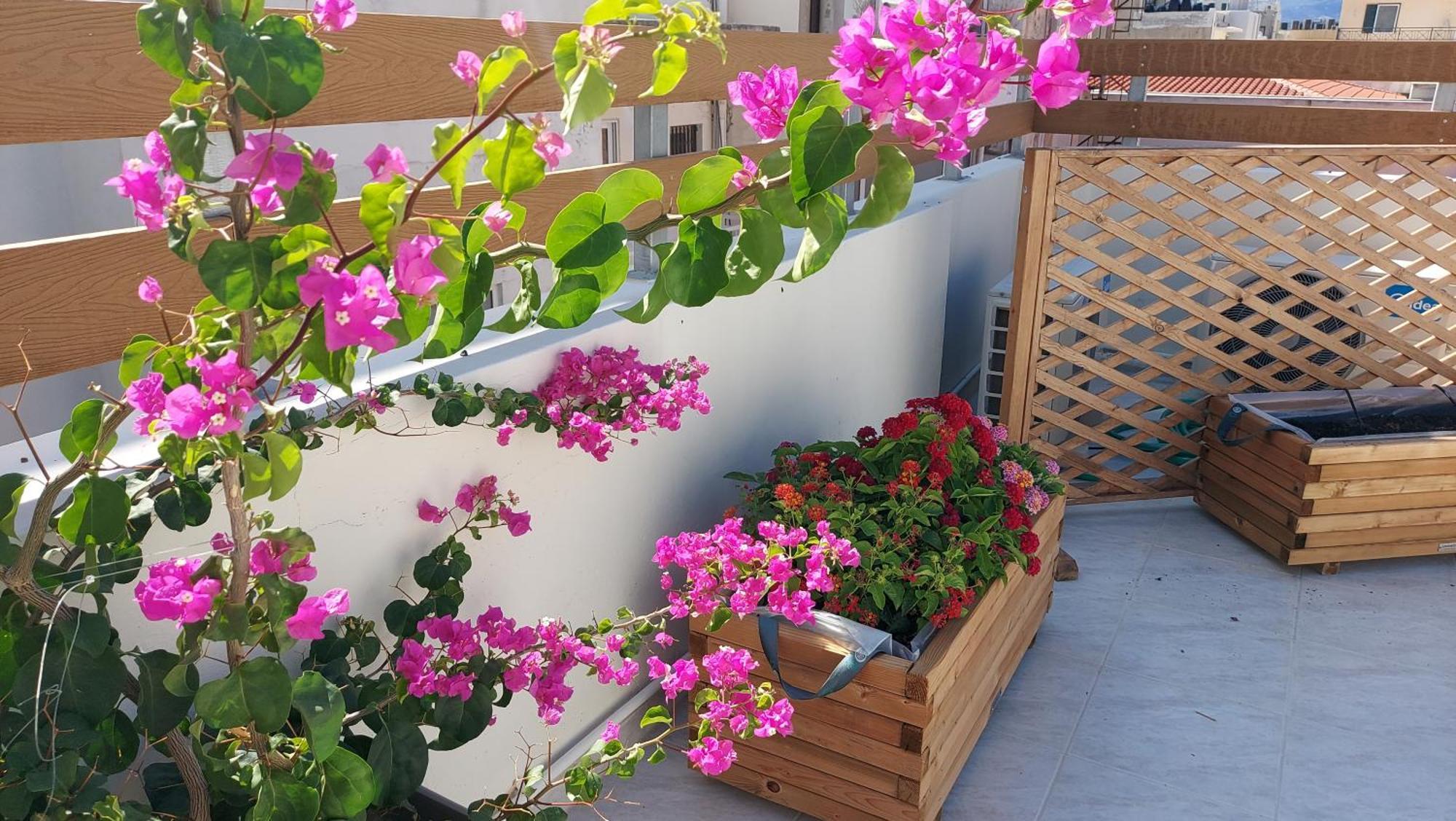 The Blue Apartment In The Heart Of Heraklion Kültér fotó